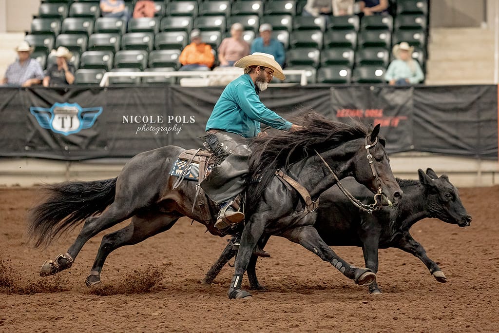 working cow horse Show Photographer