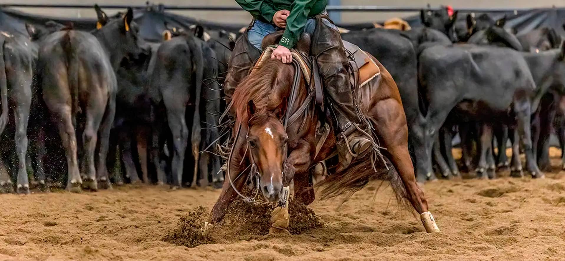 NCHA - Cutting Horses - ETCHA & NEALCHA