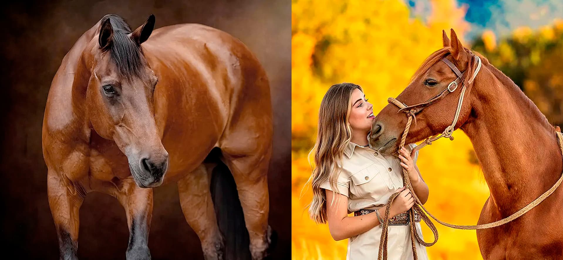 6 Secrets To Finding The Perfect Horse Photographer