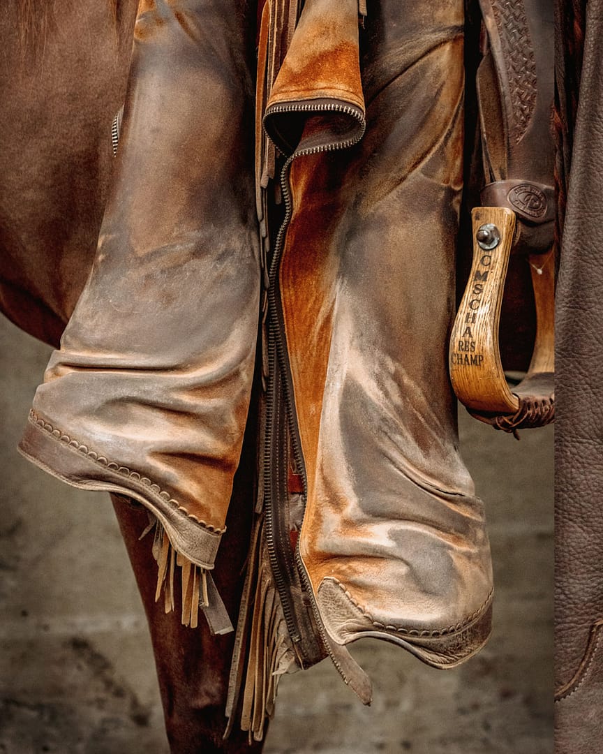Horse Show Portfolio